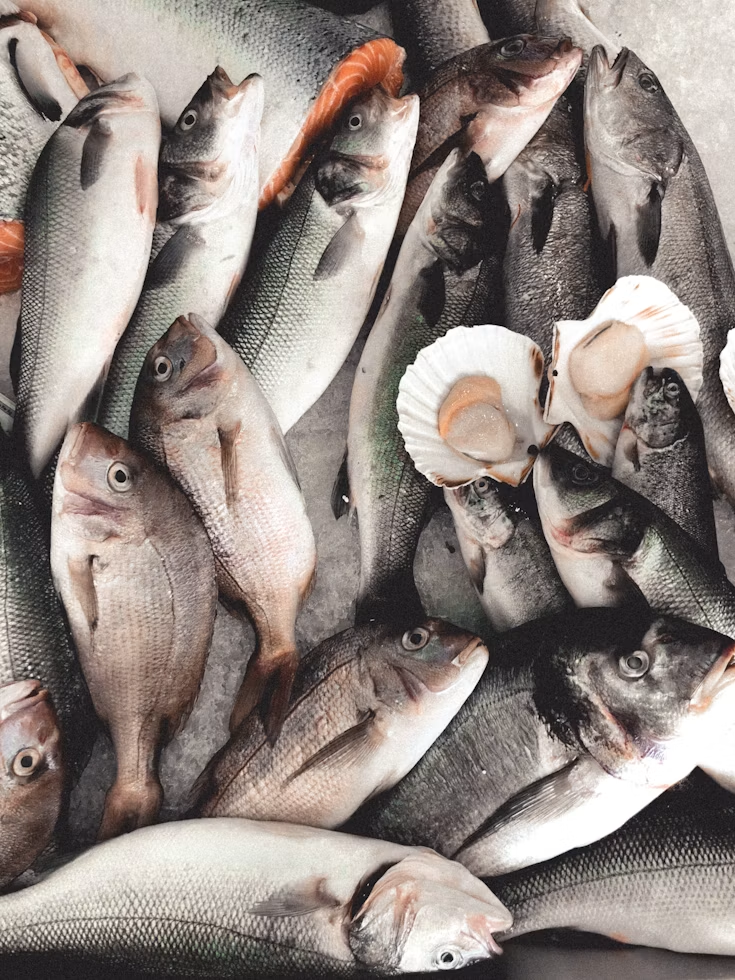 Fish