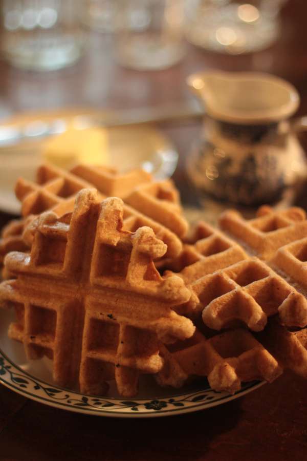 Gluten-Free Dairy-Free Egg-Free Nut-Free&nbsp;Waffles