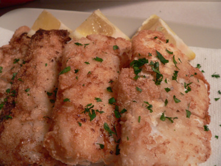 Brazil Exploration:  Peixe Frita Fortaleza