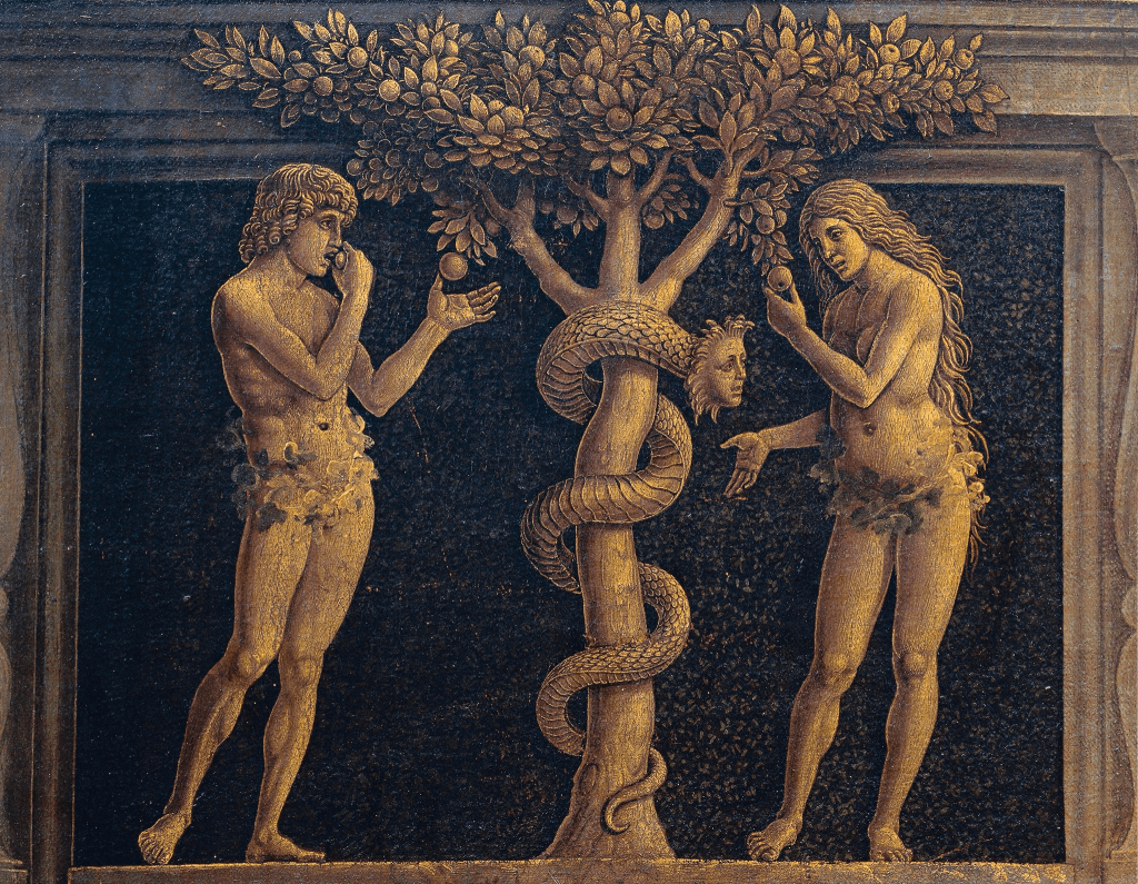 Jesus and the Jewish Roots of Mary by Brant Pitre
