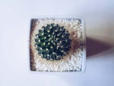 Notes on Integrative&nbsp;Oncology