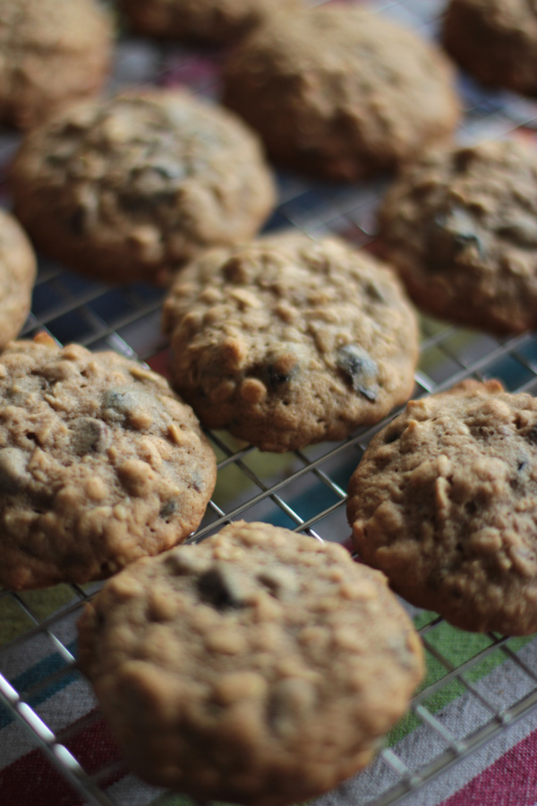 ChocBanOatCranWal Cookies