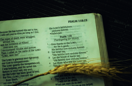 Reflections on Psalm 118