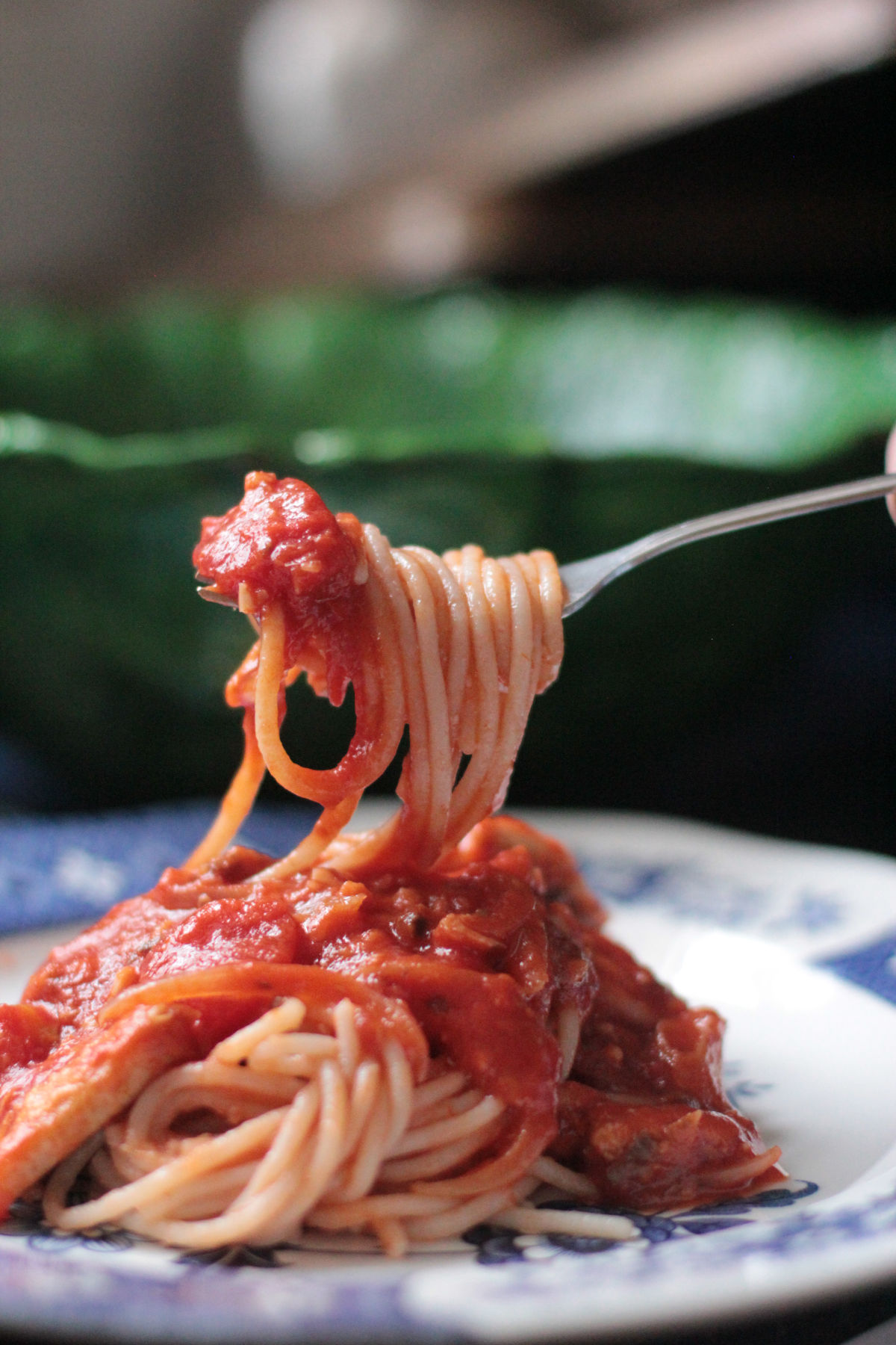 Spaghetti with Sardine Sauce